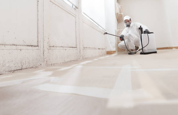 24/7 Emergency Mold Remediation experts in Elkton, VA