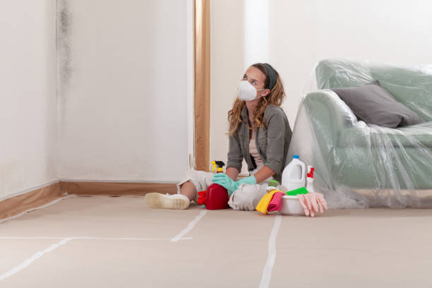 Reliable Mold Remediation contractor in Elkton, VA by 24 Hour Mold Removal